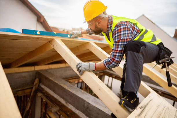 Best Roof Gutter Cleaning  in Northeast Ithaca, NY